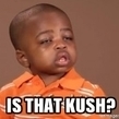 Kush